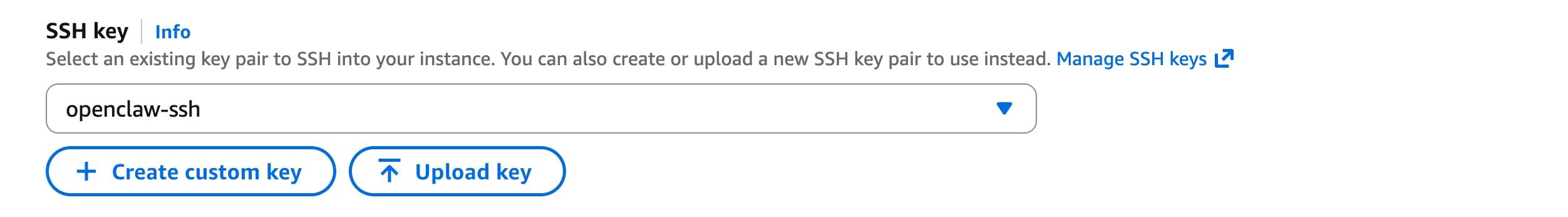 Lightsail console: SSH key