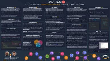 Infographic example